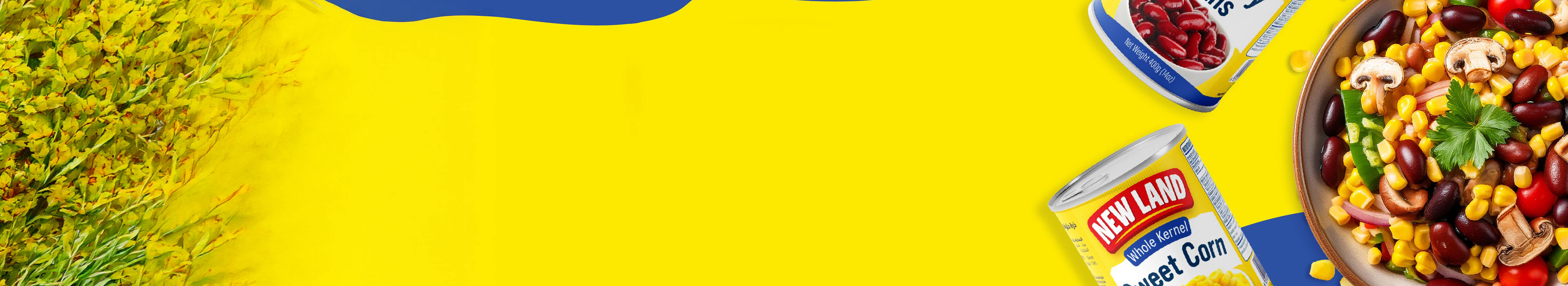 Banner 2