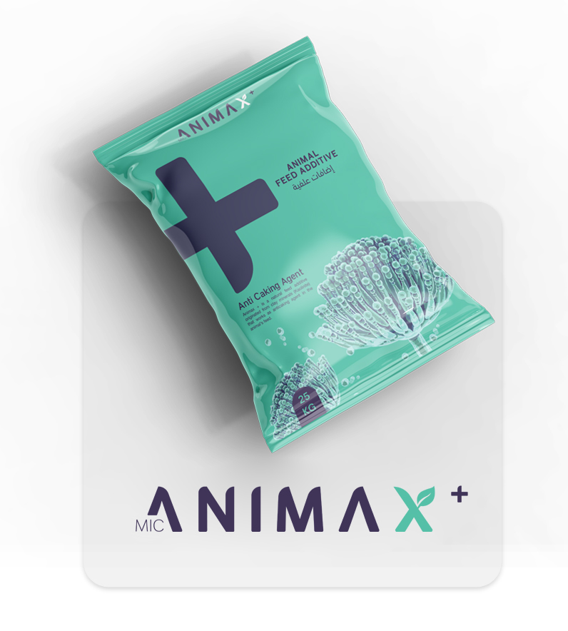 Animax+
