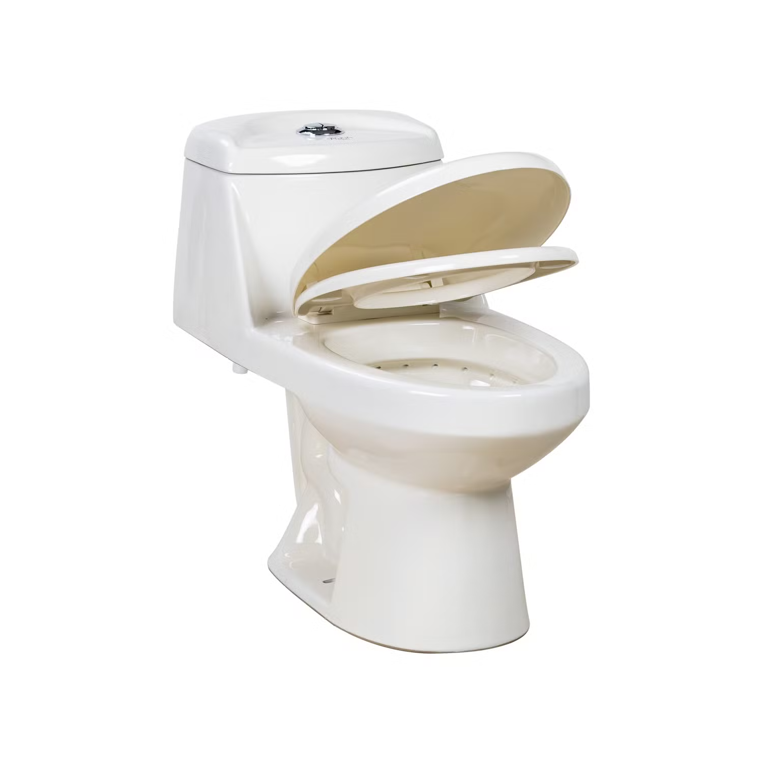 Fluor Modern Siphonic Flush Water Closet High Quality Sanitary Ware