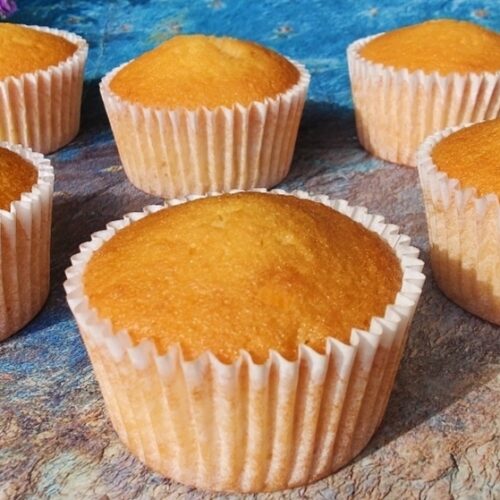 Cupcake Plain Vanilla